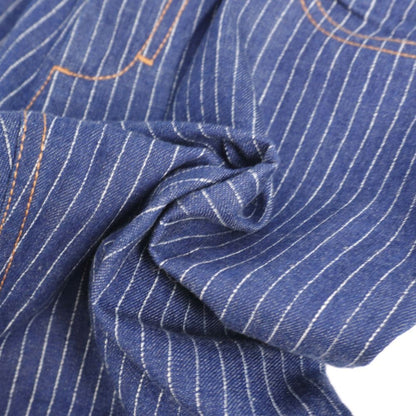 Louis Vuitton Pants Denim Striped — view 4