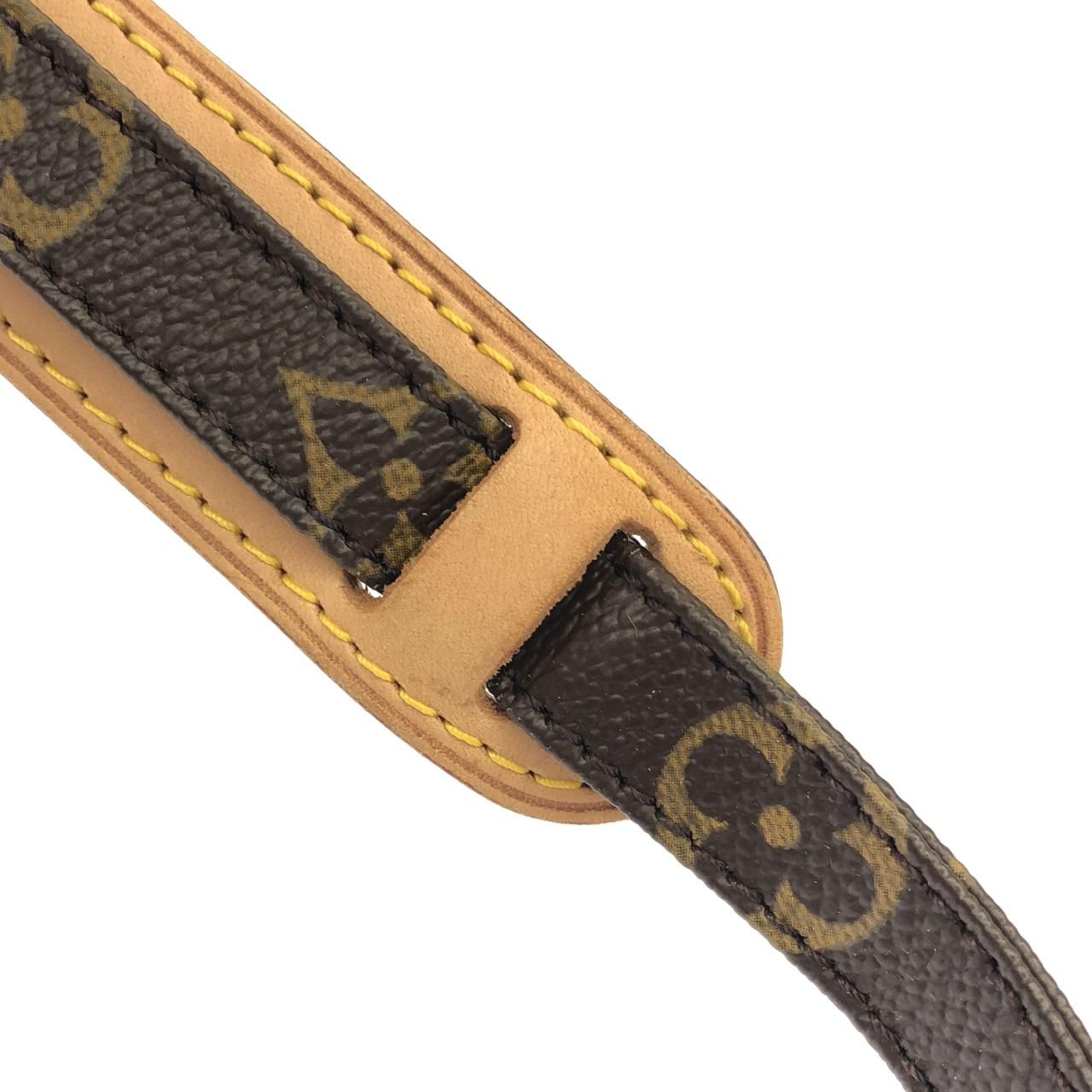 Louis Vuitton Monogram Danube Shoulder — view 6
