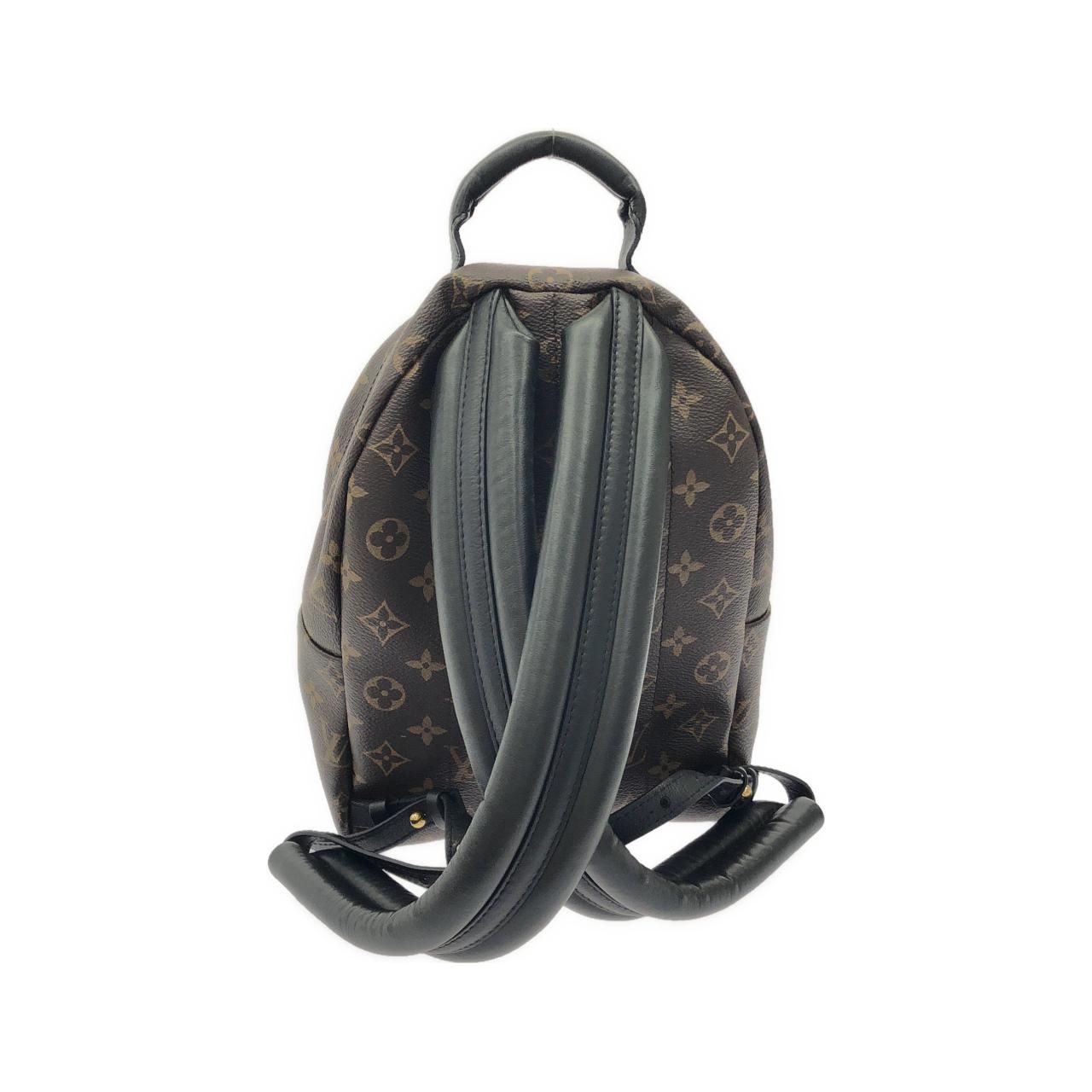 Louis Vuitton Monogram Palm Springs Backpack PM — view 2