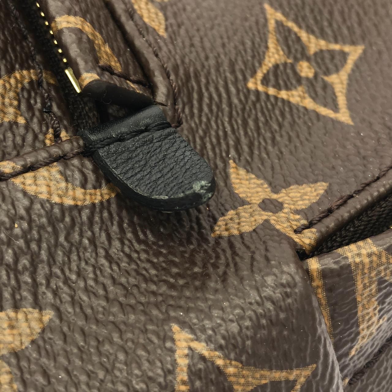 Louis Vuitton Monogram Palm Springs Backpack PM — view 5