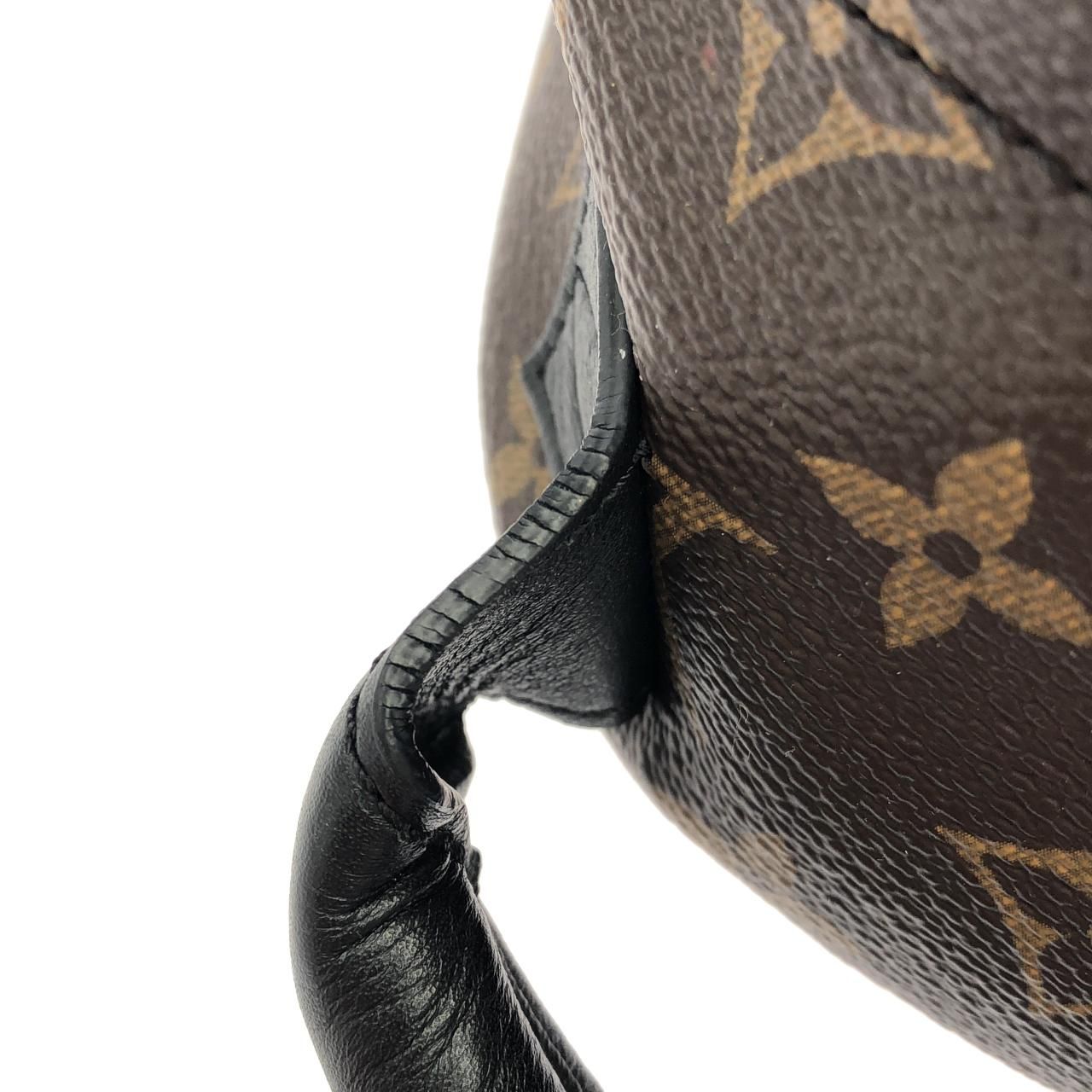 Louis Vuitton Monogram Palm Springs Backpack PM — view 4