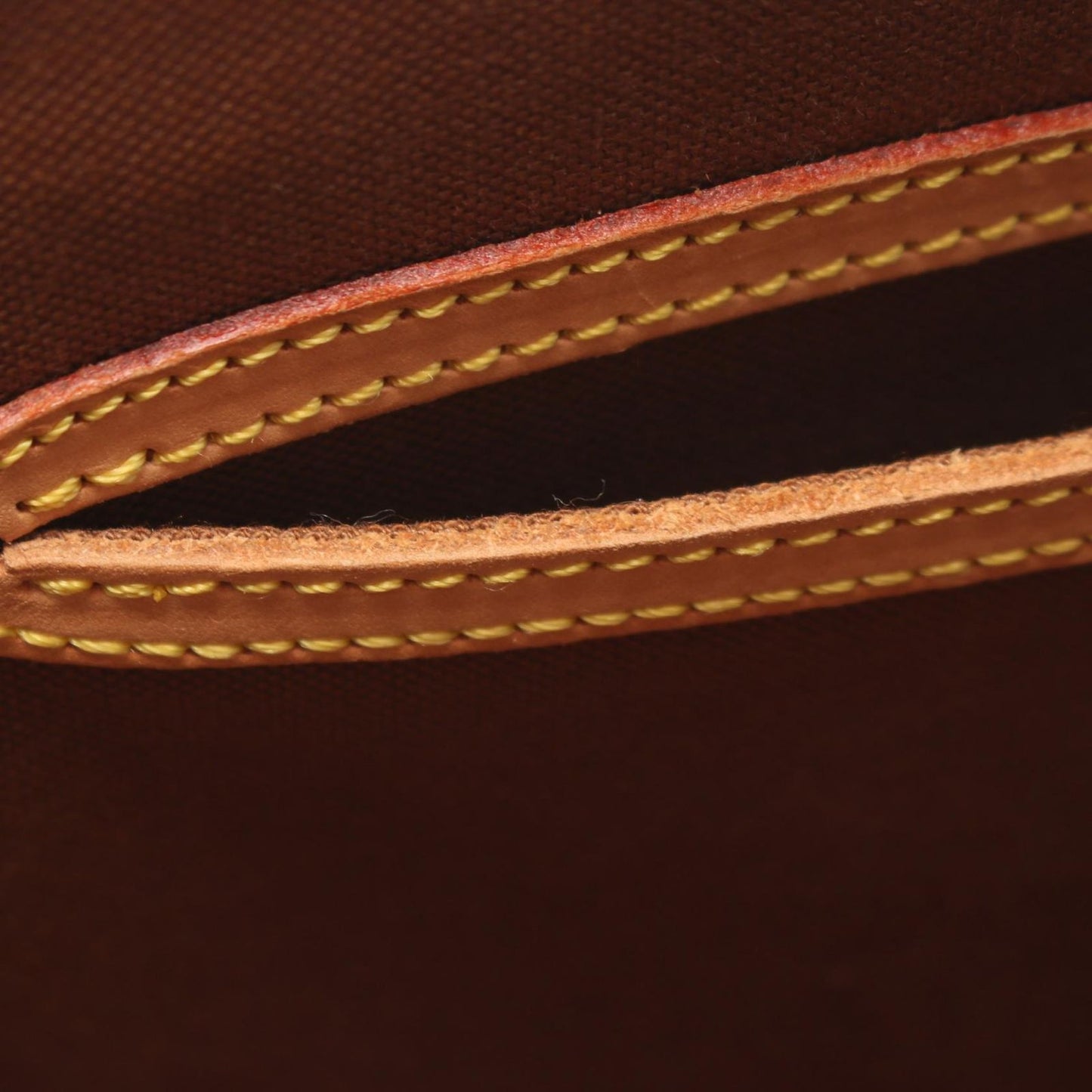 Louis Vuitton Handbag Alma PM Canvas Leather — view 7