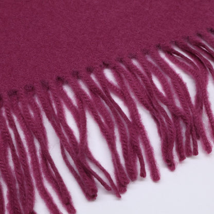 Loro Piana Cashmere Fringe Scarf — view 5