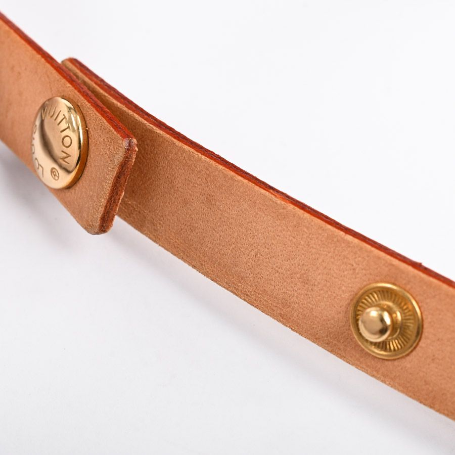 Louis Vuitton Belt Bag Pochette Florentine — view 8