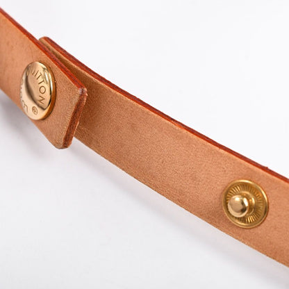 Louis Vuitton Belt Bag Pochette Florentine — view 8