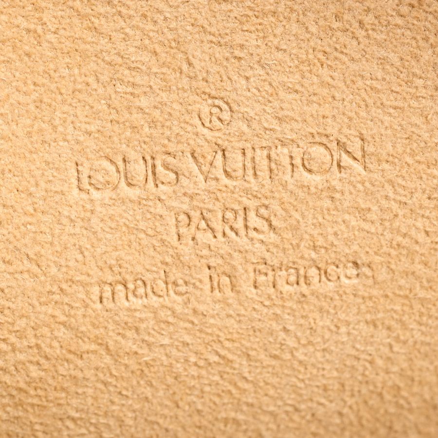 Louis Vuitton Belt Bag Pochette Florentine — view 6