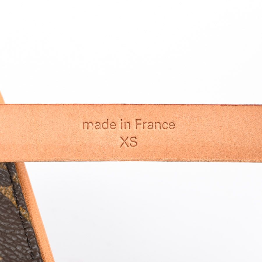 Louis Vuitton Belt Bag Pochette Florentine — view 7