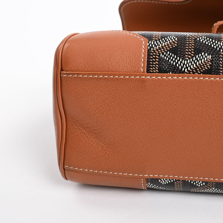 Goyard Handbag Saigon Mini — view 9