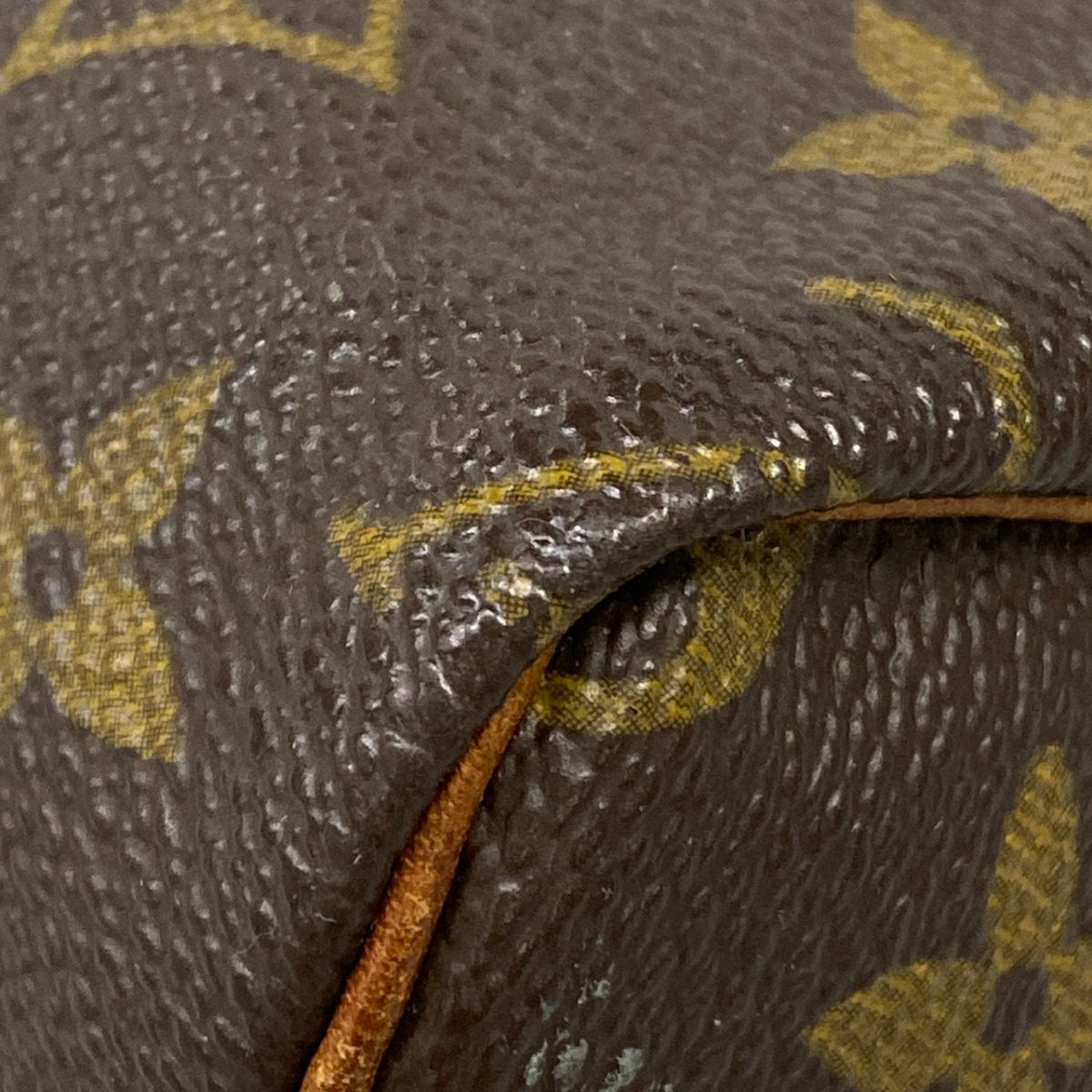 Louis Vuitton Handbag Monogram Mini Speedy — view 6