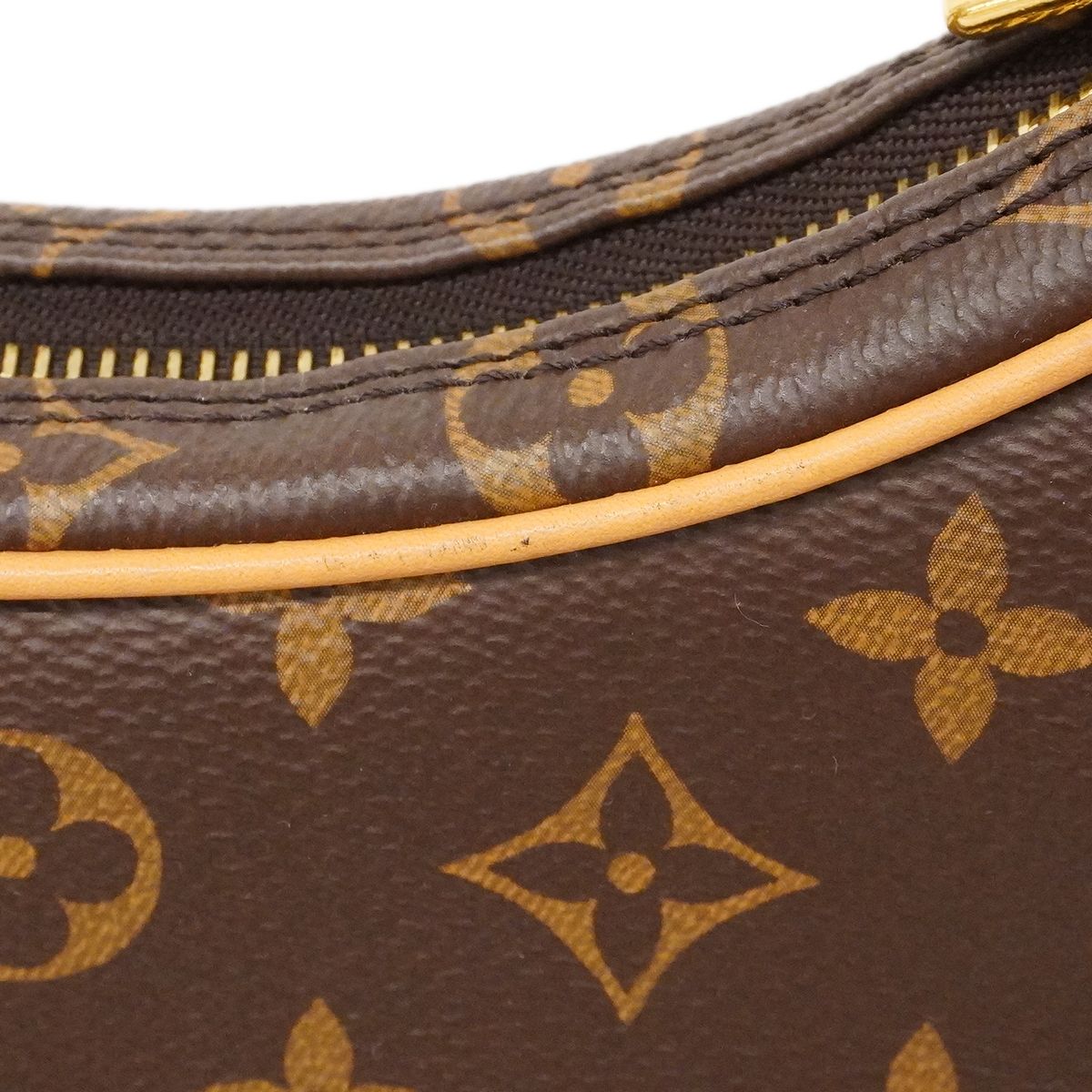 Louis Vuitton Handbag Monogram Loop Brown 2-Way — view 6