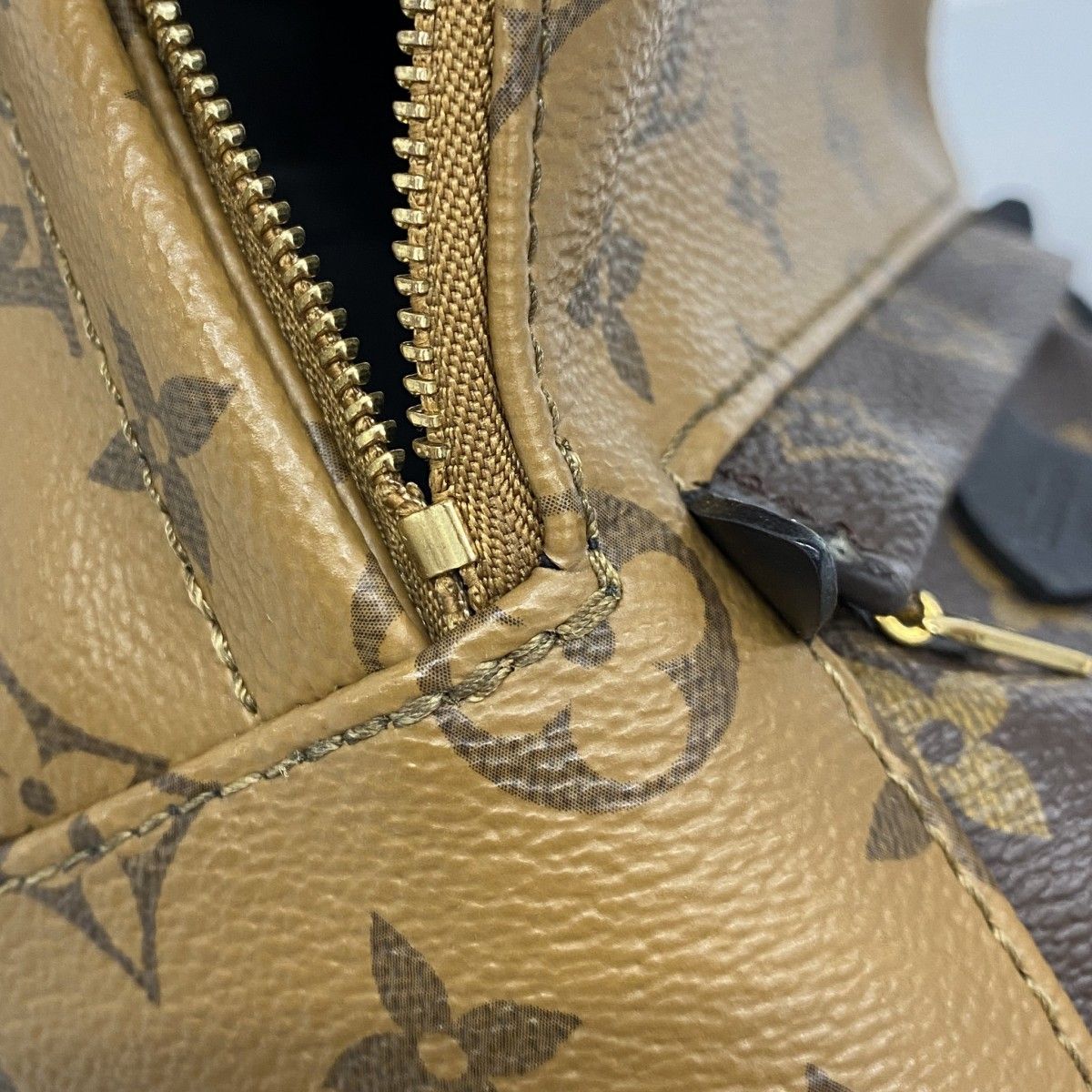Louis Vuitton Backpack Monogram Reverse Palm Springs Mini Brown — view 8