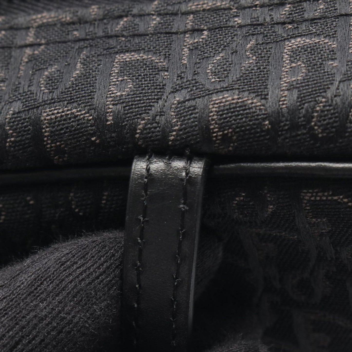 Dior Handbag Street Chic Trotter Black Canvas Leather — view 9