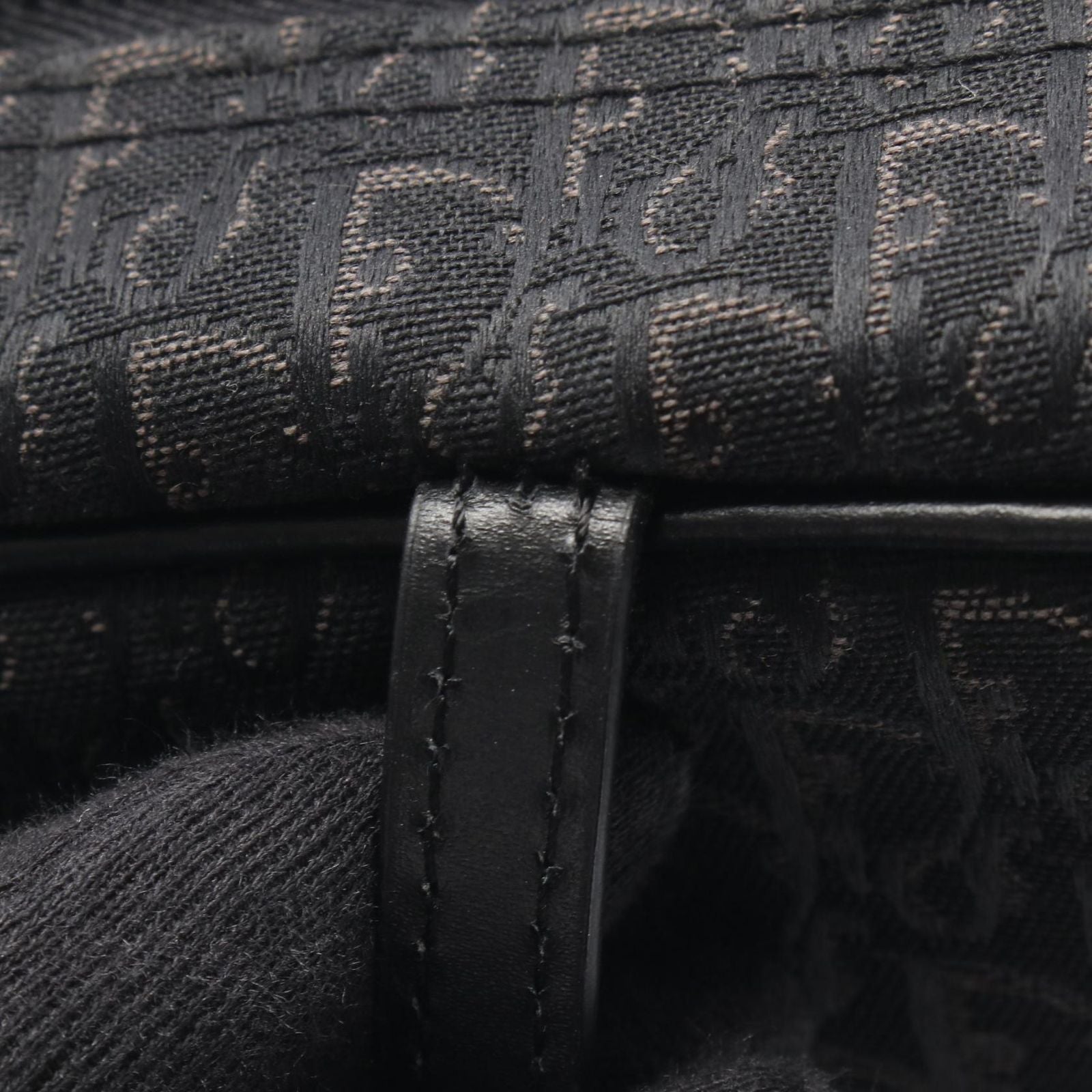 Dior Handbag Street Chic Trotter Black Canvas Leather — view 9