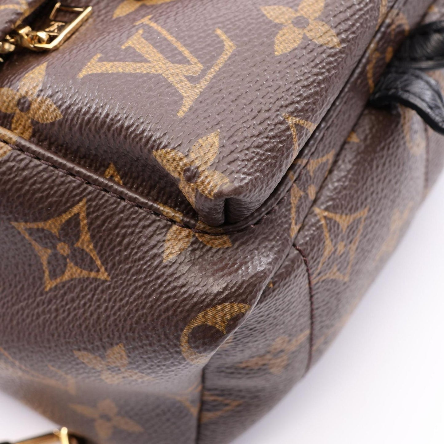 Louis Vuitton Backpack Palm Springs Mini Monogram Canvas Leather — view 6