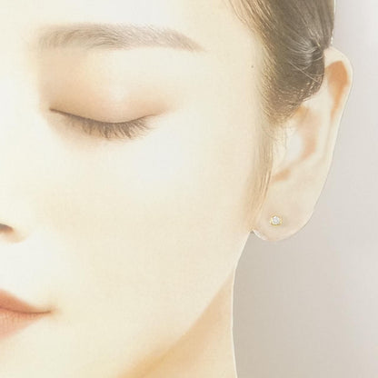 Tiffany & Co by the Yard Earrings — view 4