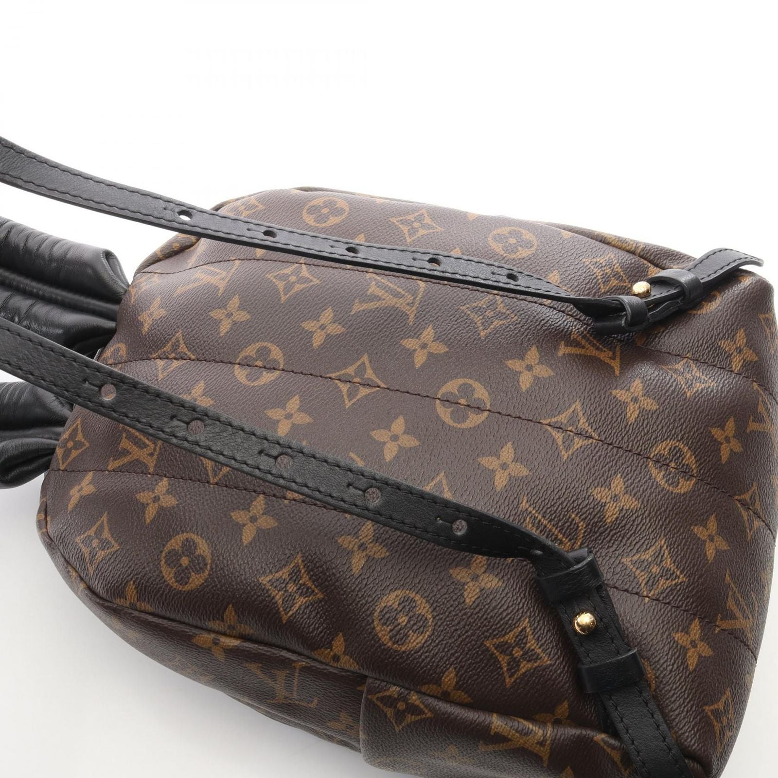 Louis Vuitton Backpack Palm Springs PM Canvas Leather PM — view 8