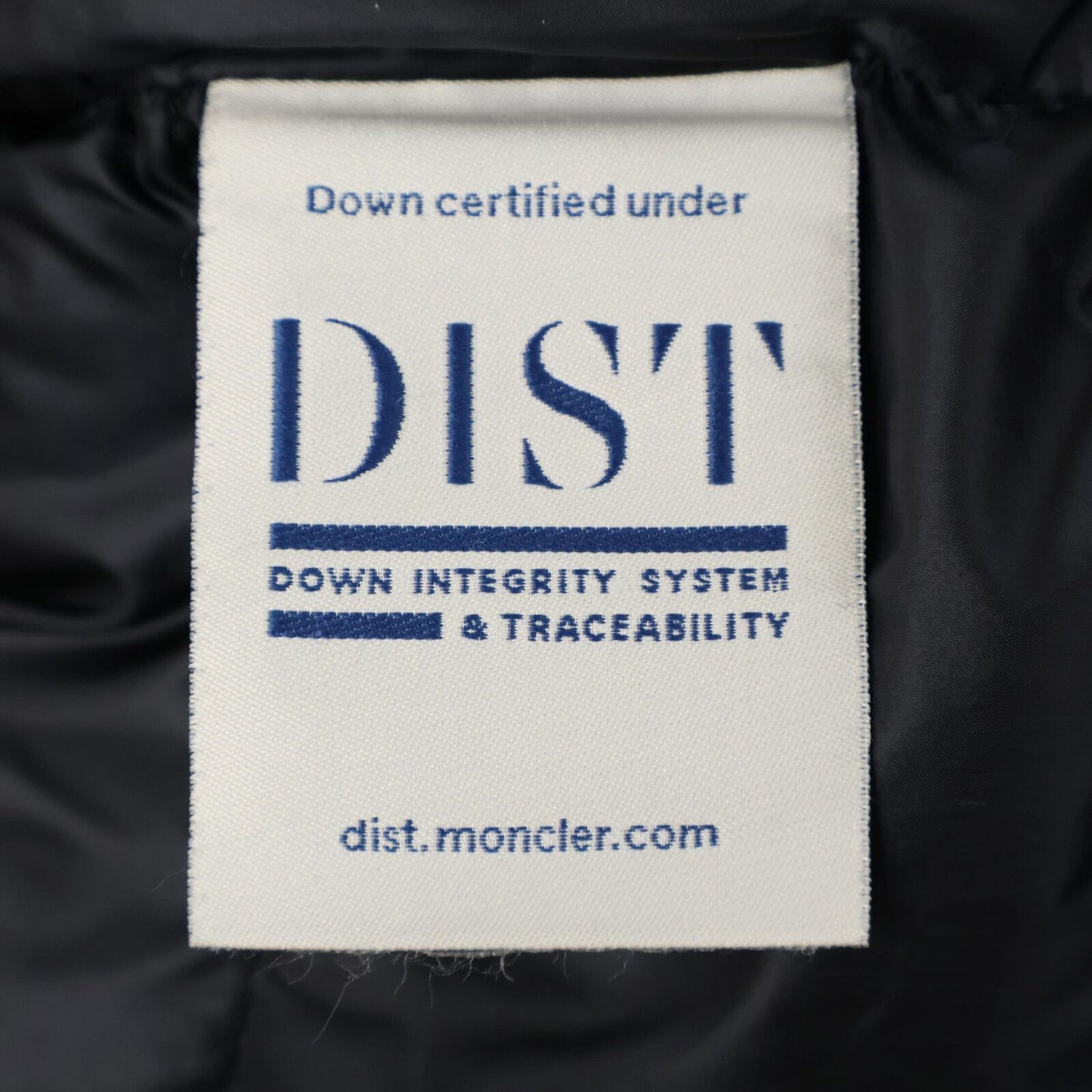 Moncler Salzman Hoodie Down — view 7