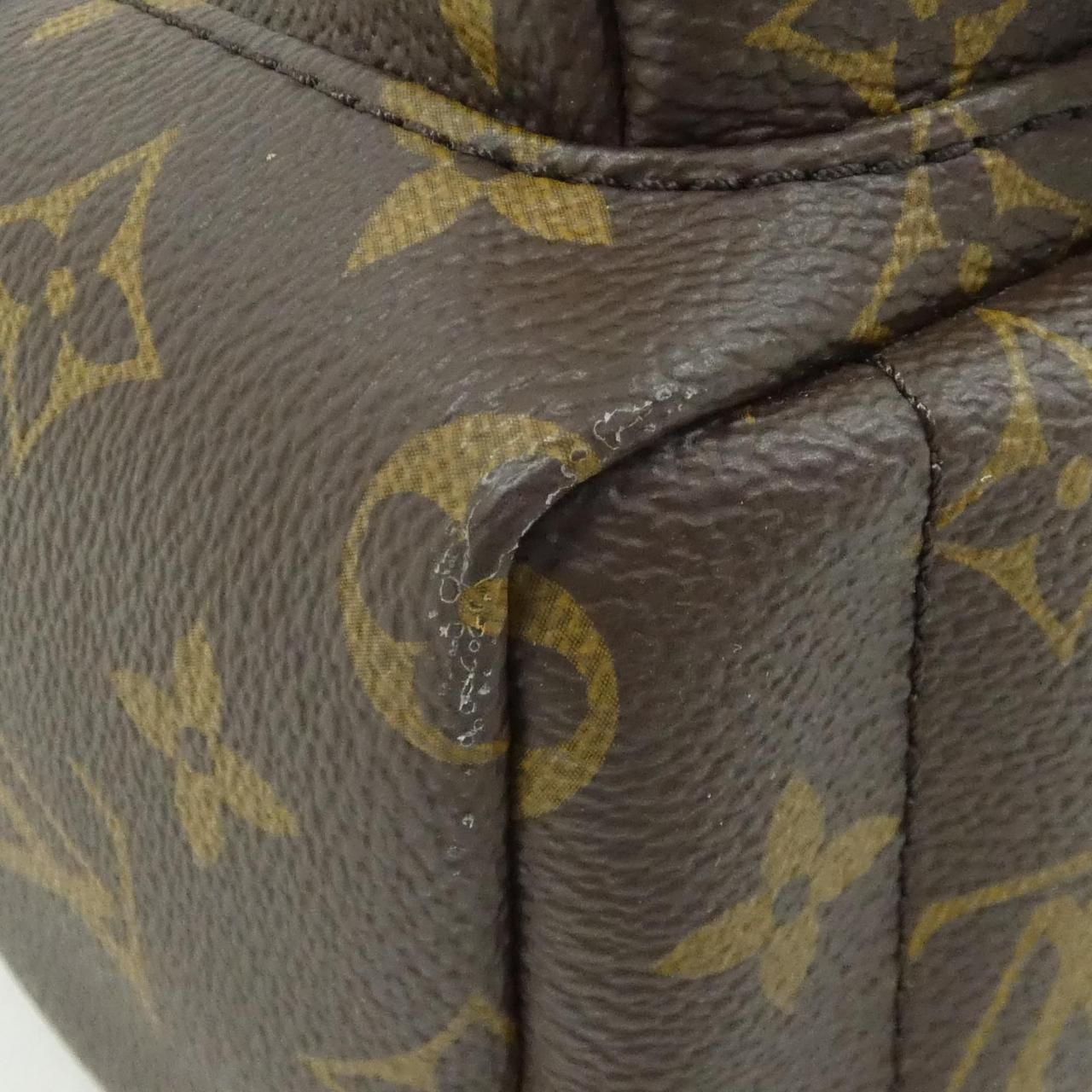 Louis Vuitton Monogram Palm Springs Backpack Mini — view 3