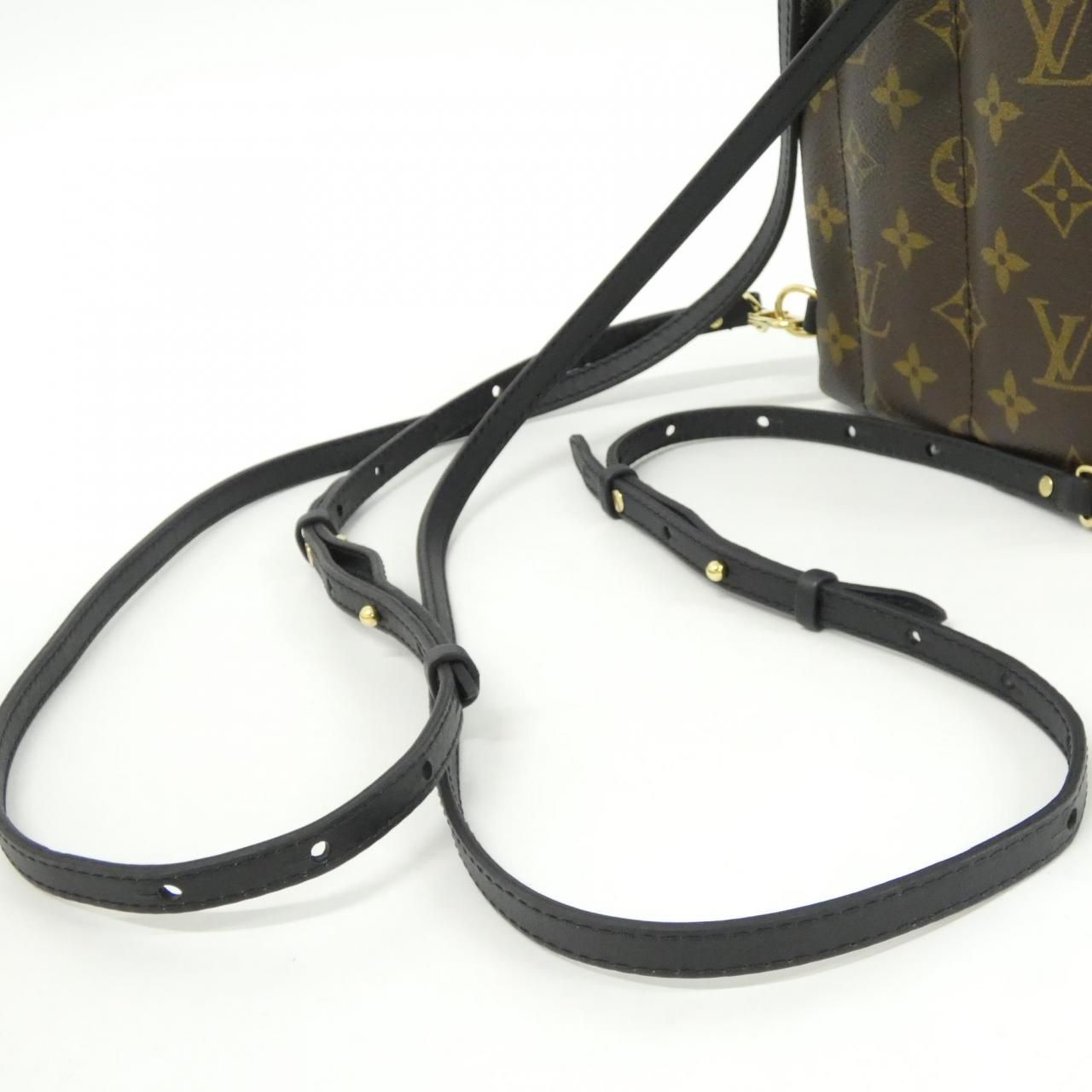 Louis Vuitton Monogram Palm Springs Backpack Mini — view 9