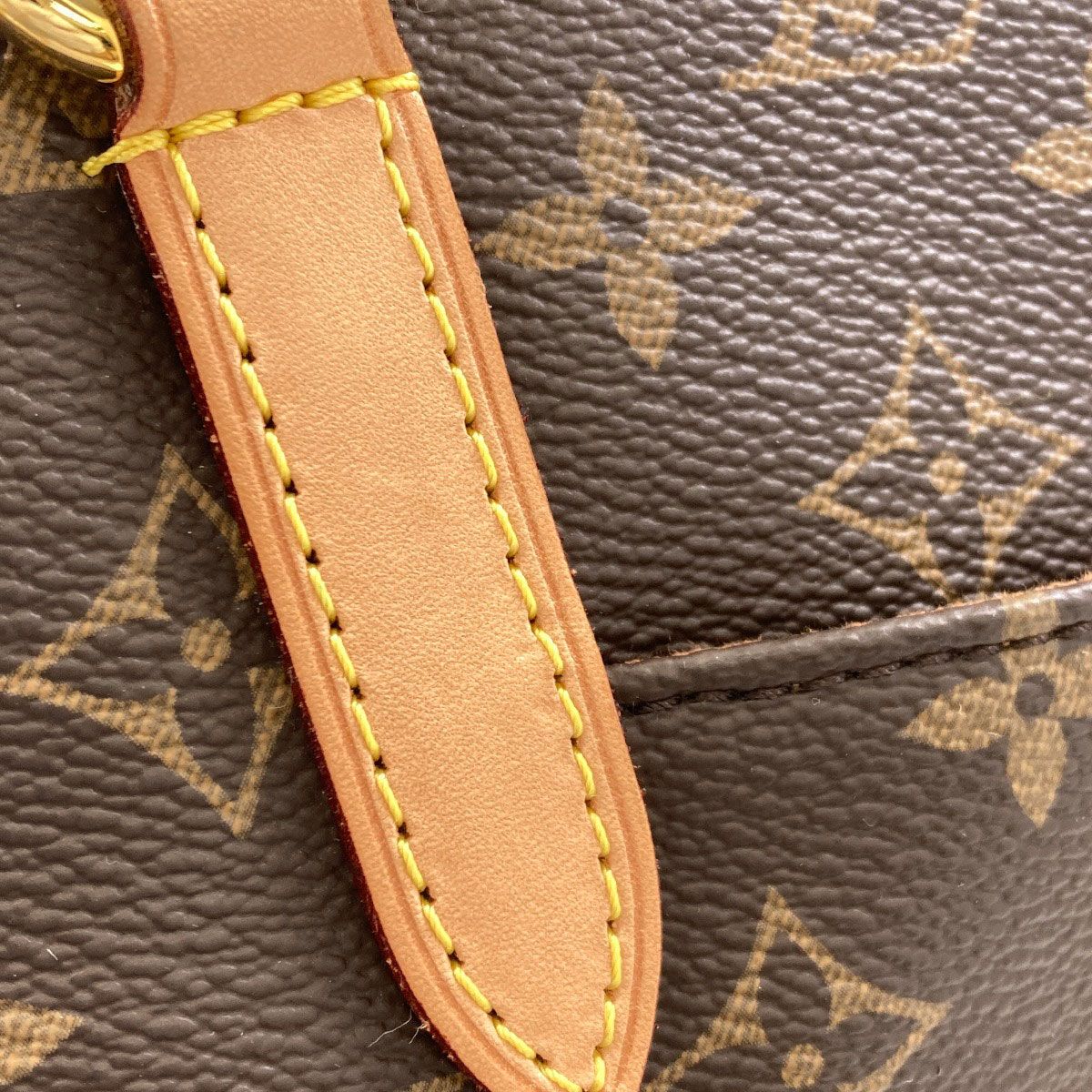 Louis Vuitton Totally Tote Monogram Canvas — view 8