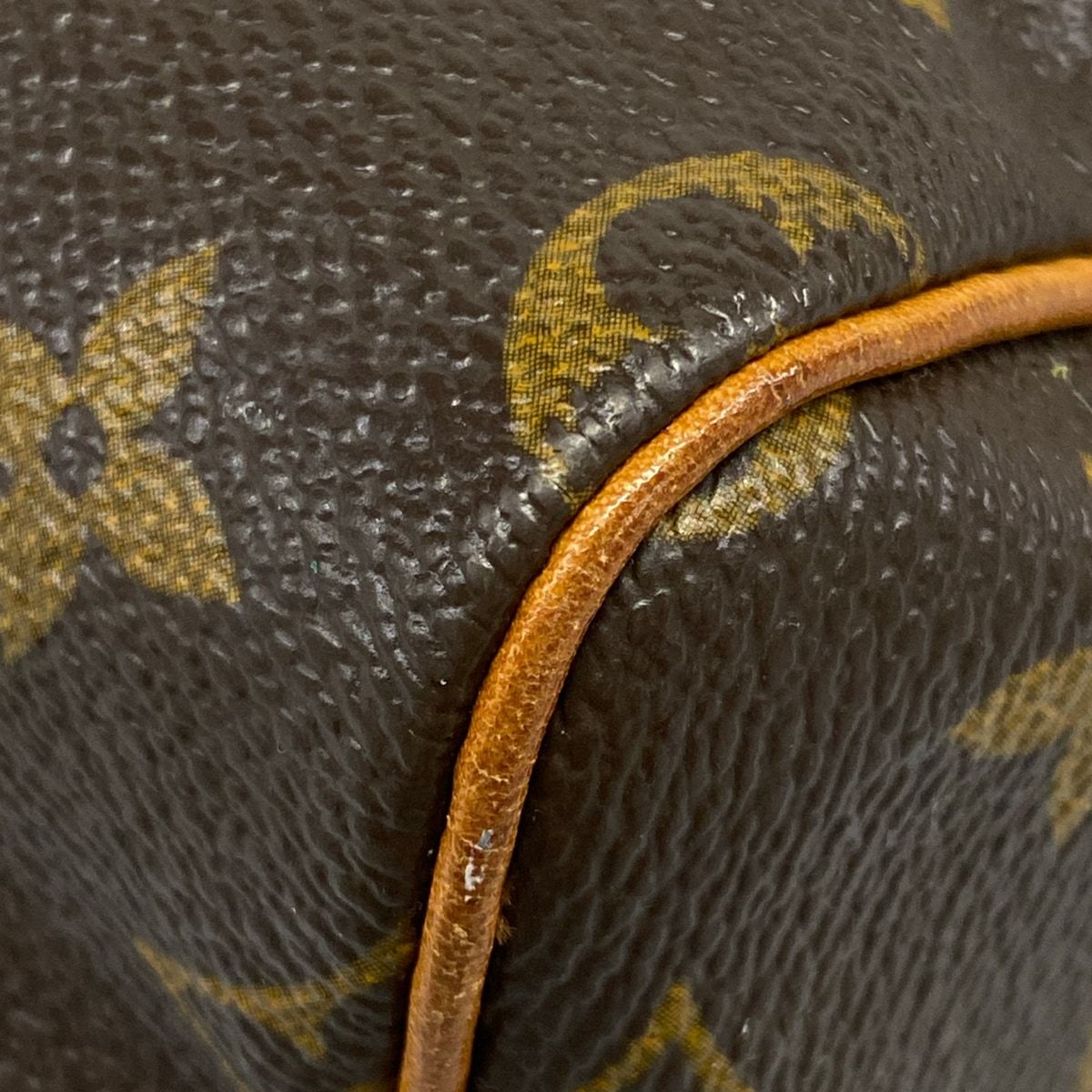 Louis Vuitton Handbag Monogram Mini Speedy — view 6