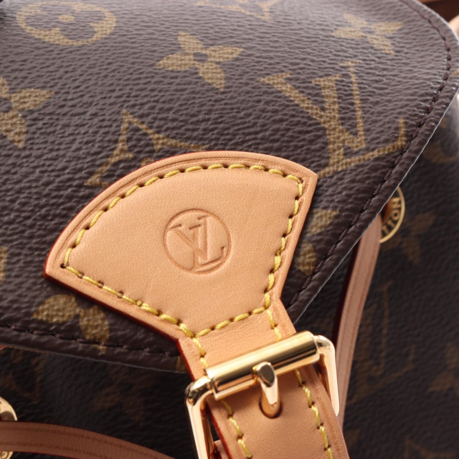 Louis Vuitton Backpack Montsouris PM Monogram Canvas Leather — view 8