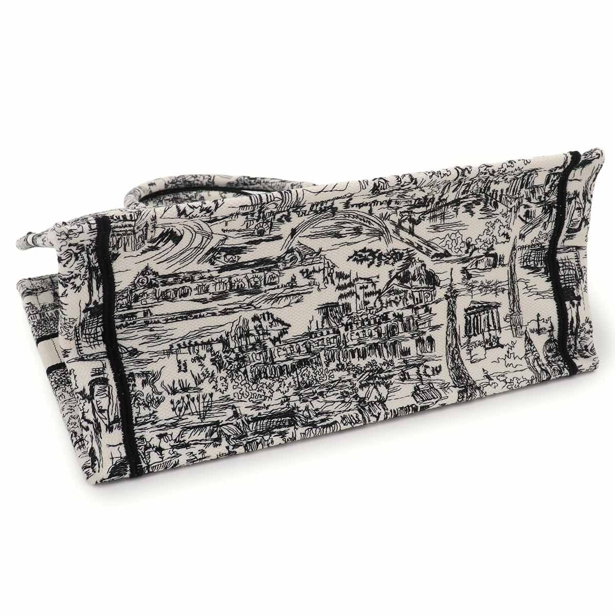 Dior Plan de Paris Book Tote Canvas White — view 4