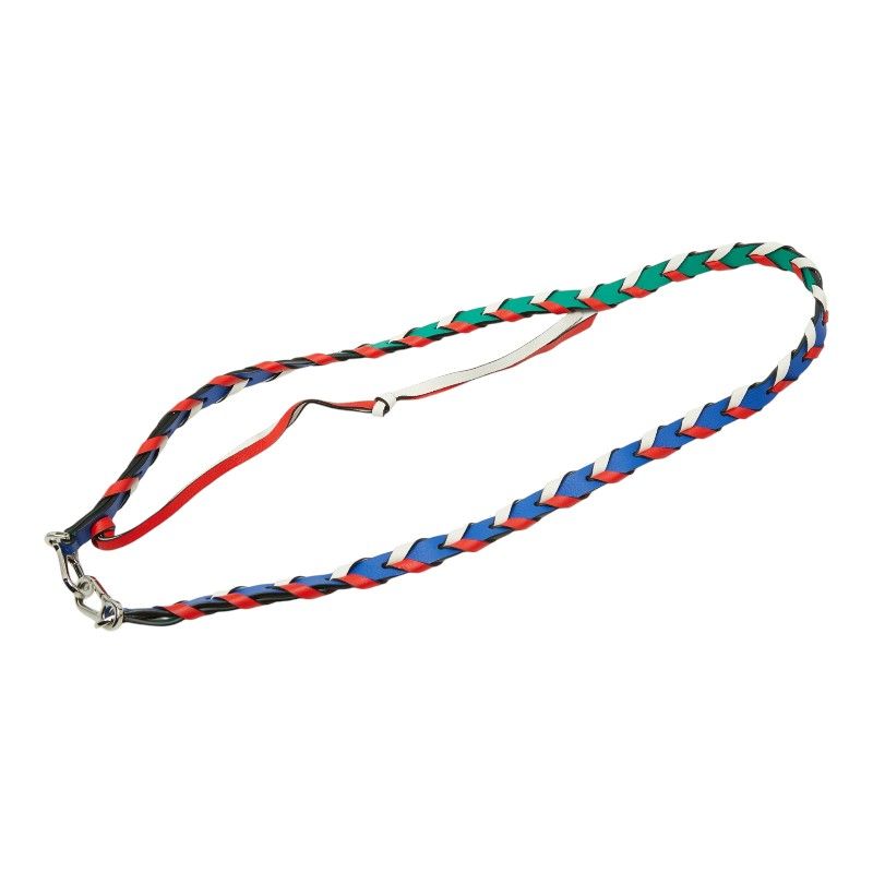 Loewe Sin Braided Shoulder Strap Multicolor Leather — view 4