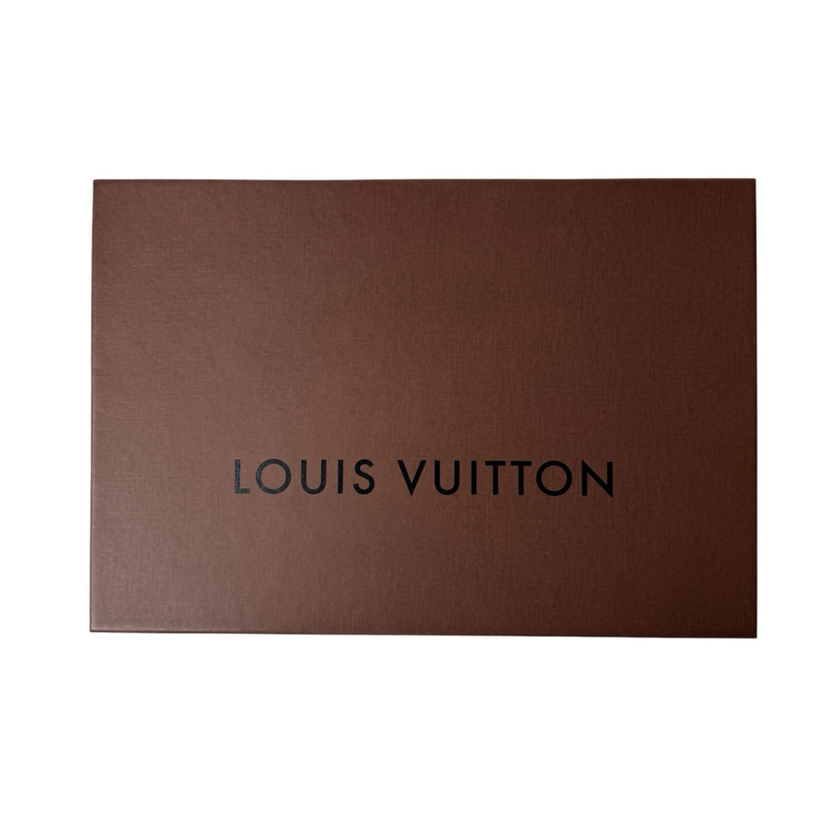 Louis Vuitton Scarf Echarpe Logomania — view 6