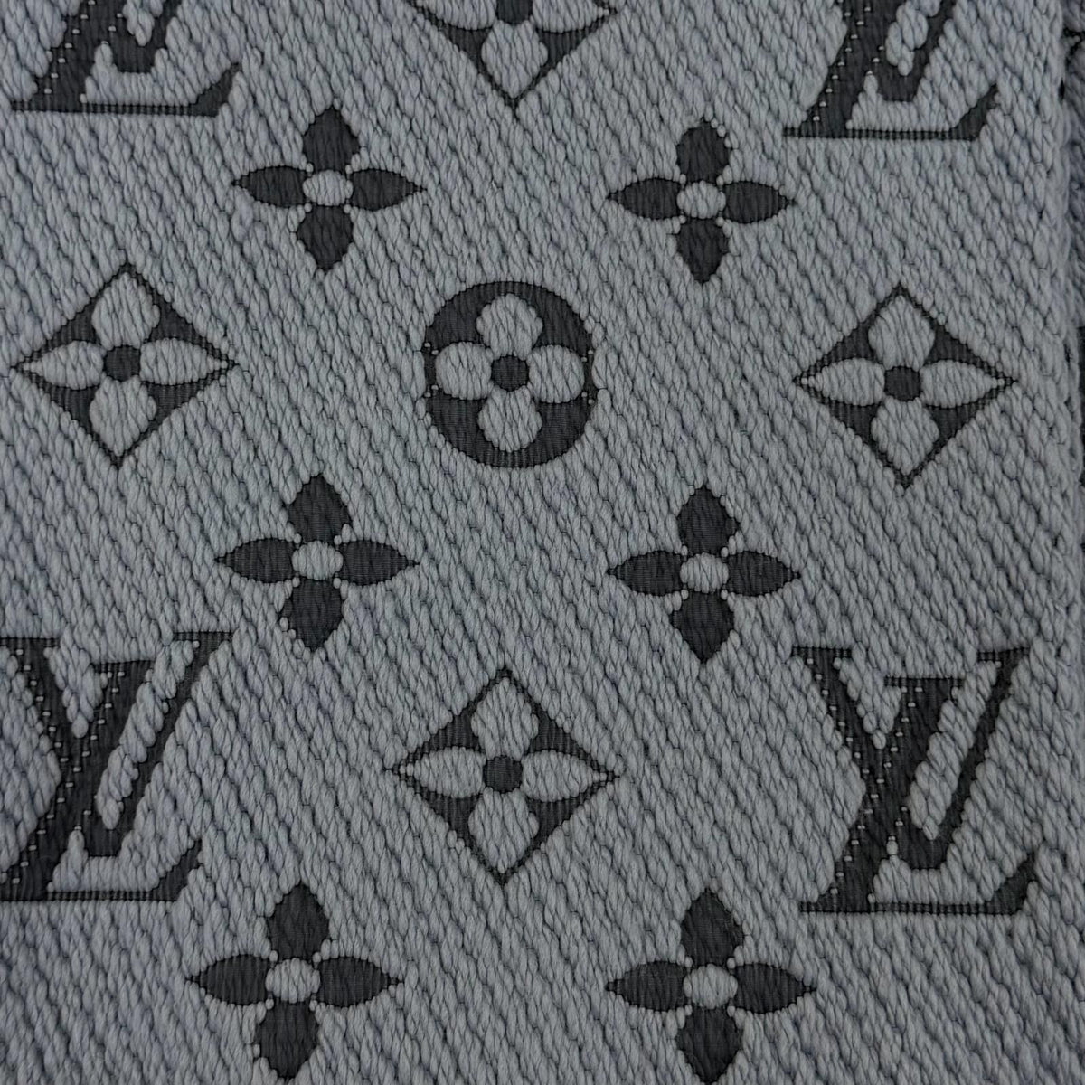 Louis Vuitton Echarpe Logomania Wool Silk Scarf With Fringe Blue — view 4
