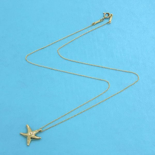 Tiffany & Co Star Fish Necklace — view 4