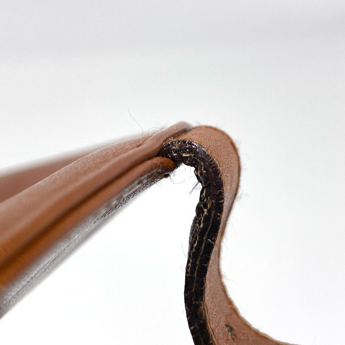Gucci Bamb Backpack Leather Brown — view 7