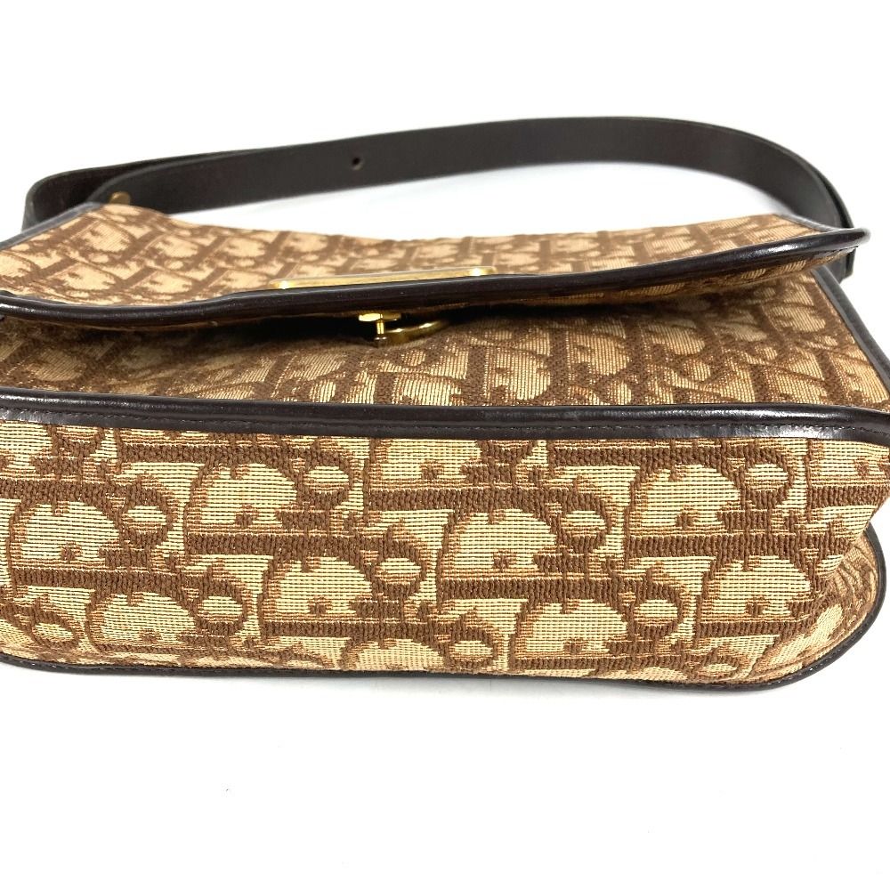 Dior Shoulder Bag Logo Trotter Leather Canvas Beige — view 6