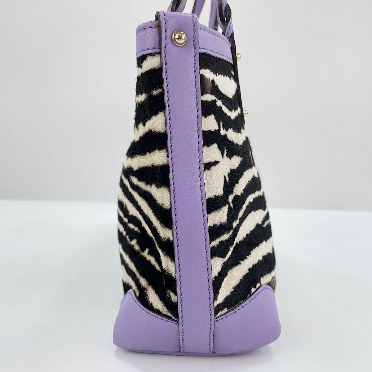 Gucci Handbag Zebra Print — view 6