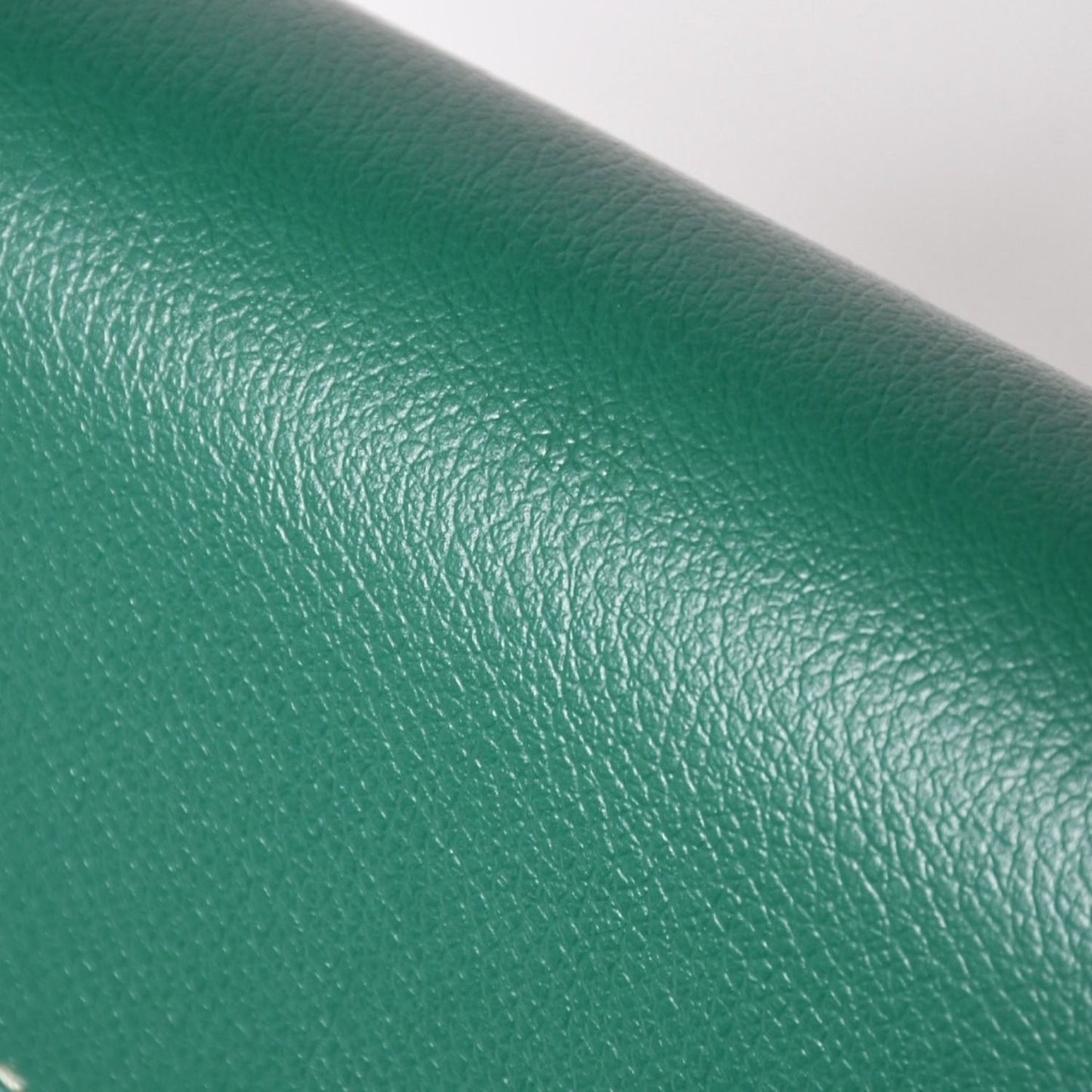 Goyard Chypre Sheepskin Pouch Wallet Shoulder Bag Green — view 4