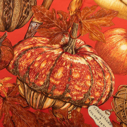 Hermes Carre 90 Citrouilles Et Coloquintes Pumpkin And Colocinto Scarf Large — view 6