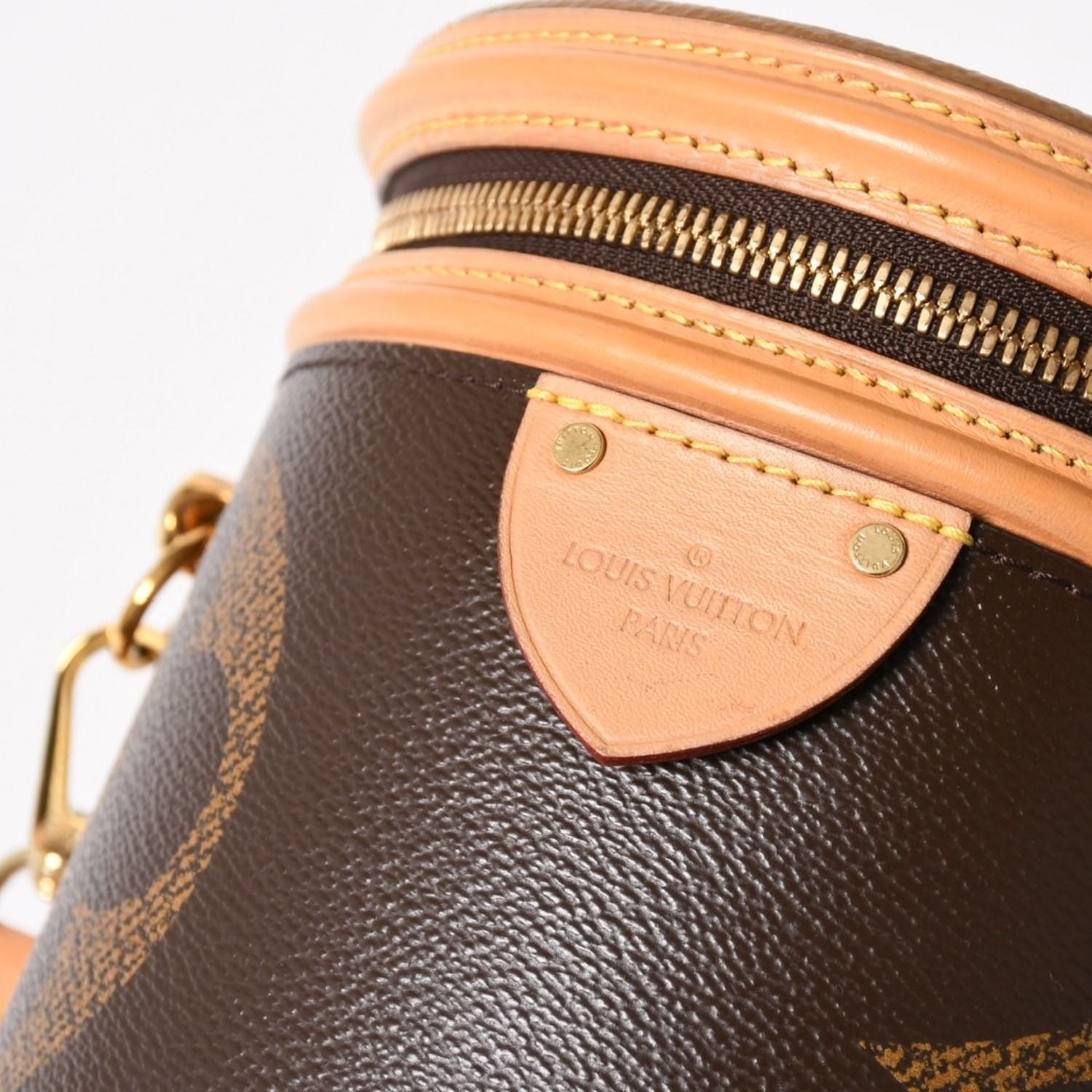 Louis Vuitton Cannes Vanity Monogram Giant Brown Reverse Shoulder Bag — view 8