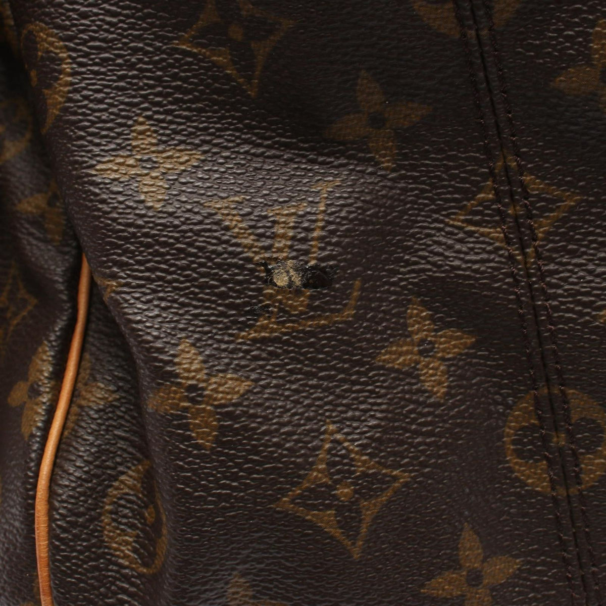 Louis Vuitton Tote Bag Irene Canvas Leather — view 8