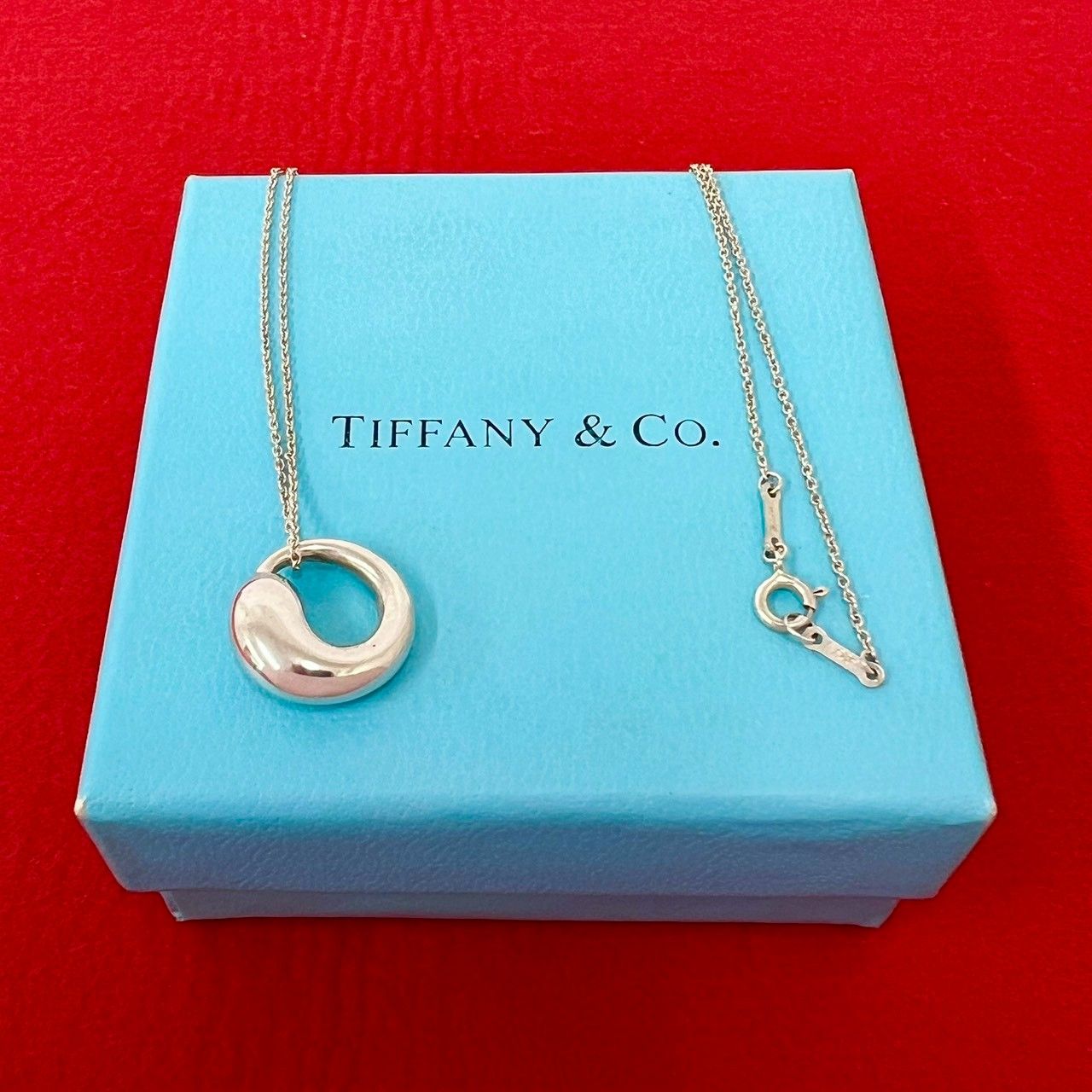 Tiffany & Co Vintage Eternal Circle Necklace 925 Sterling Silver Pendant