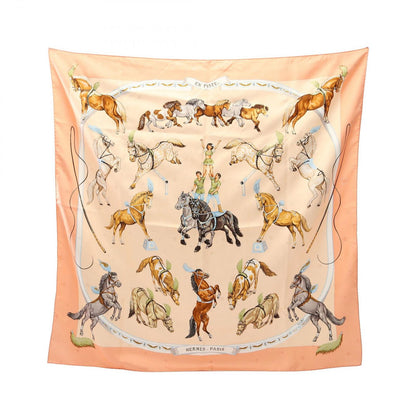 Hermes Scarf Carre 90 en Piste Silk