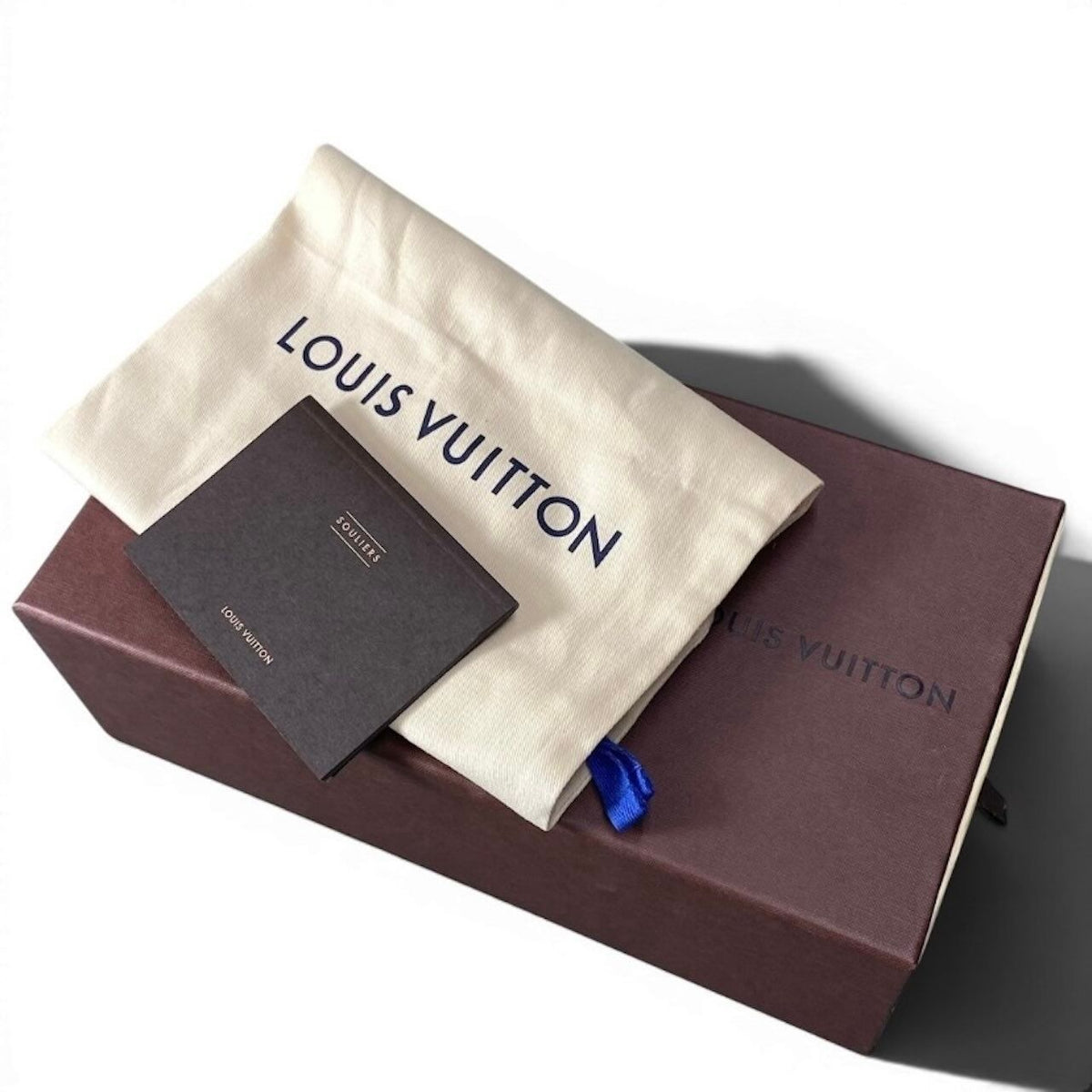 Louis Vuitton Monogram Ribbon Flat Shoes Leather Pumps — view 8