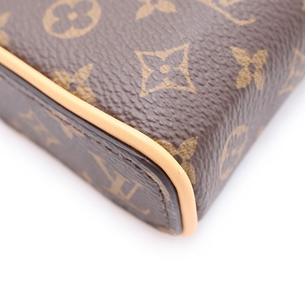 Louis Vuitton Monogram Nice View Tee Pouch Mini Bag Case Brown Leather Gold — view 5