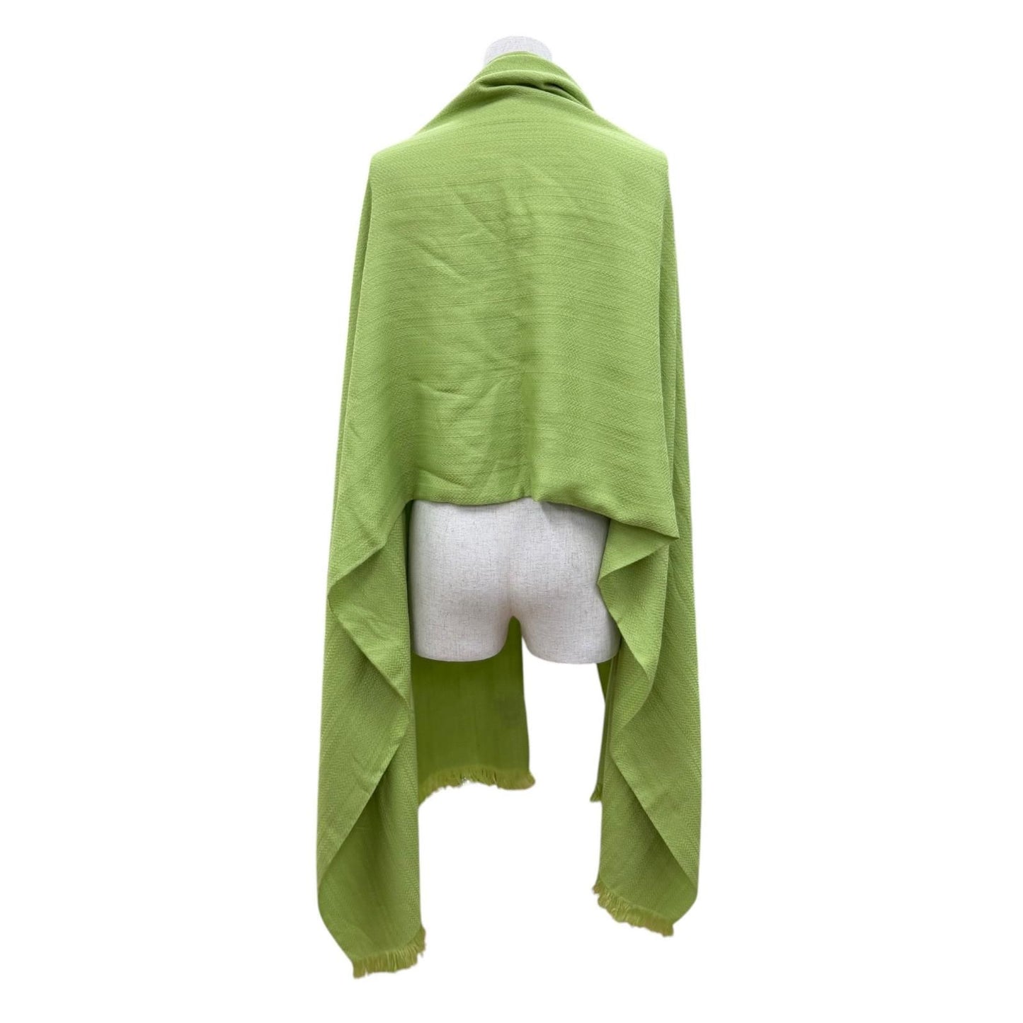 Hermes Exlibris Cashmere Silk Large Shawl Light Green Scarf — view 4