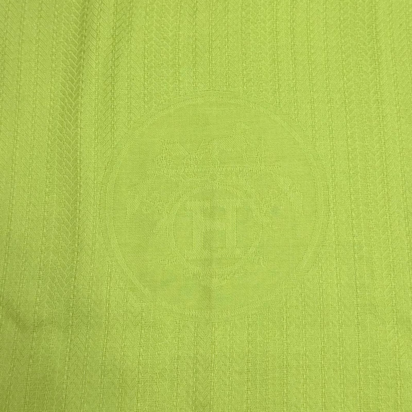 Hermes Exlibris Cashmere Silk Large Shawl Light Green Scarf — view 6