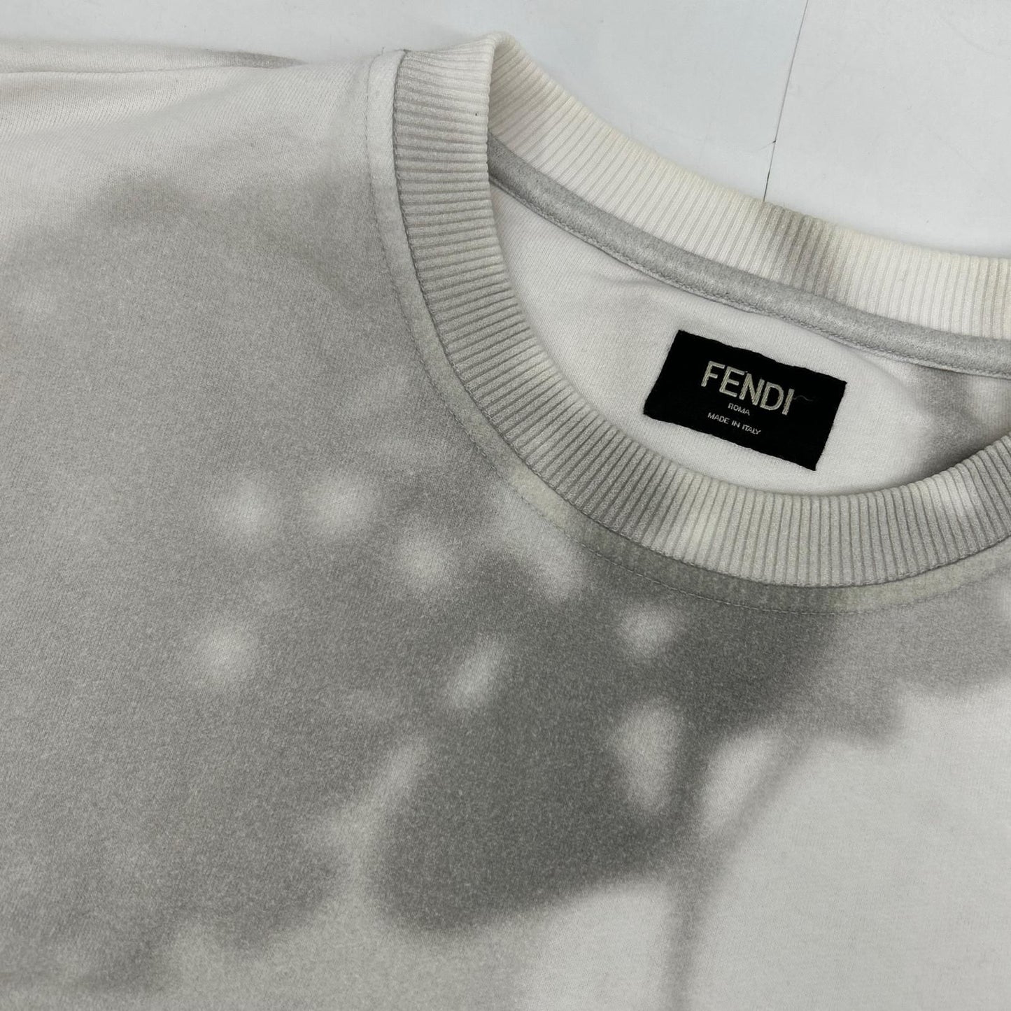 Fendi Afra Logo Plant Shadow Transfer Print Sweatshirt — view 8