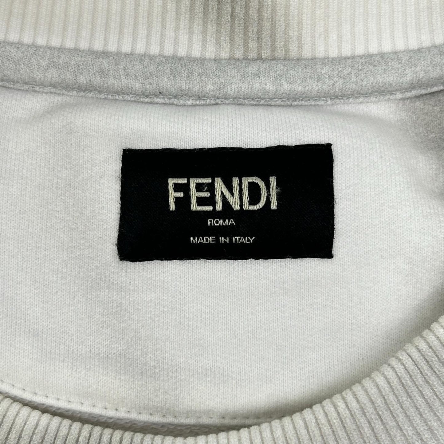 Fendi Afra Logo Plant Shadow Transfer Print Sweatshirt — view 3
