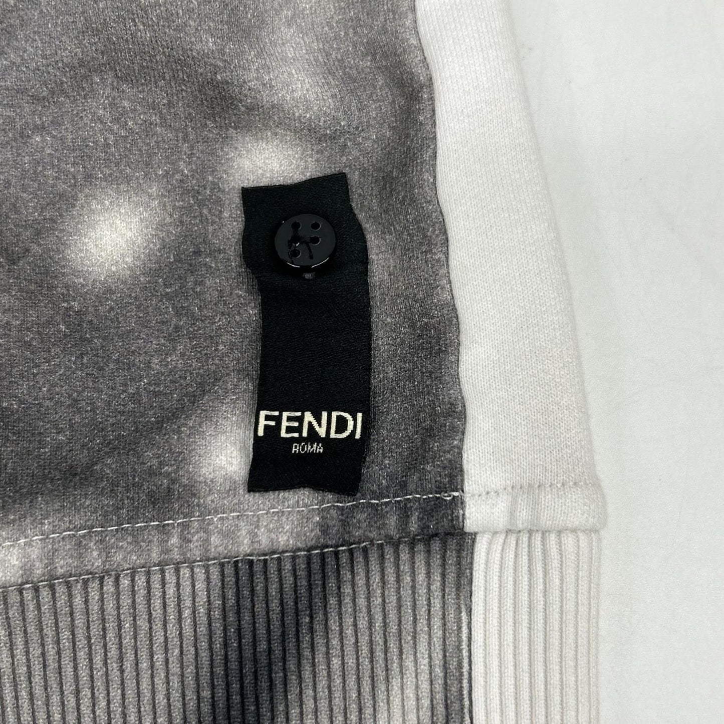Fendi Afra Logo Plant Shadow Transfer Print Sweatshirt — view 7