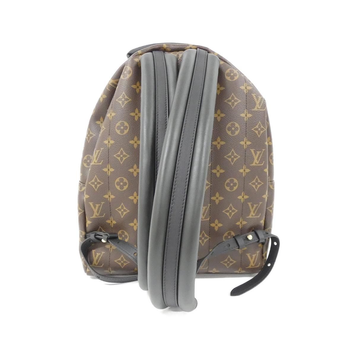 Louis Vuitton Monogram Palm Spring Suede Backpack MM — view 2