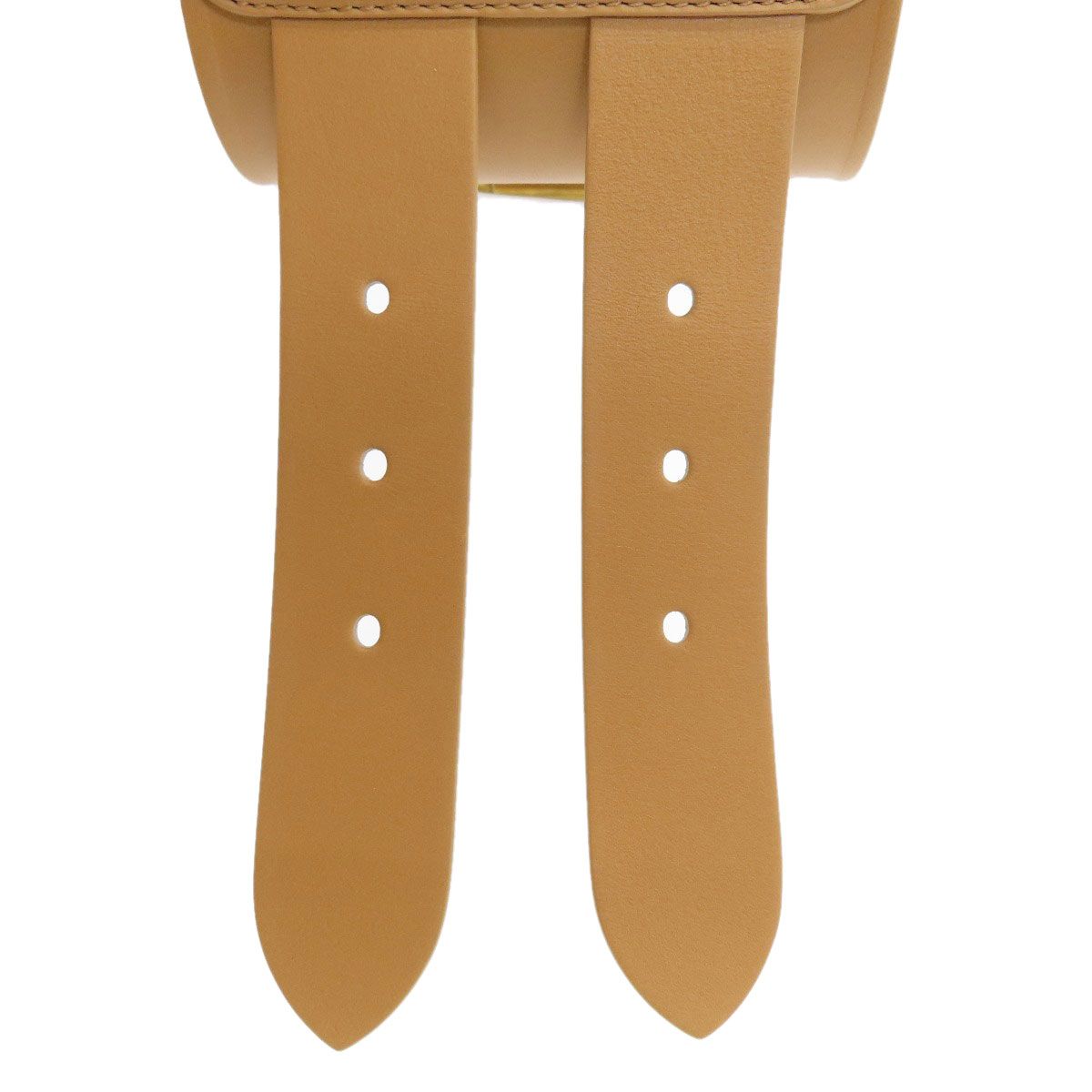 Dior Maxi Double Gold Buckle Belt Leather — view 6