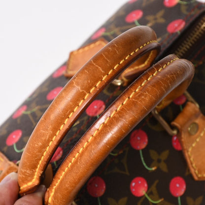 Louis Vuitton Speedy 25 Handbag Monogram Cherry Brown Takashi Murakami — view 7